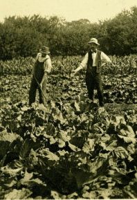 2 Shaker men in their garden courtesy Hamilton College Library Digital Collection