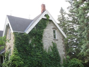 Stewart House from the east 2013 courtesy Fred Darby